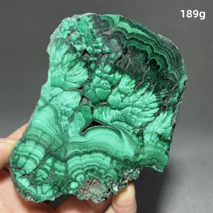 Malachite Raw Crystal Natural Stone Slice Mineral Slab