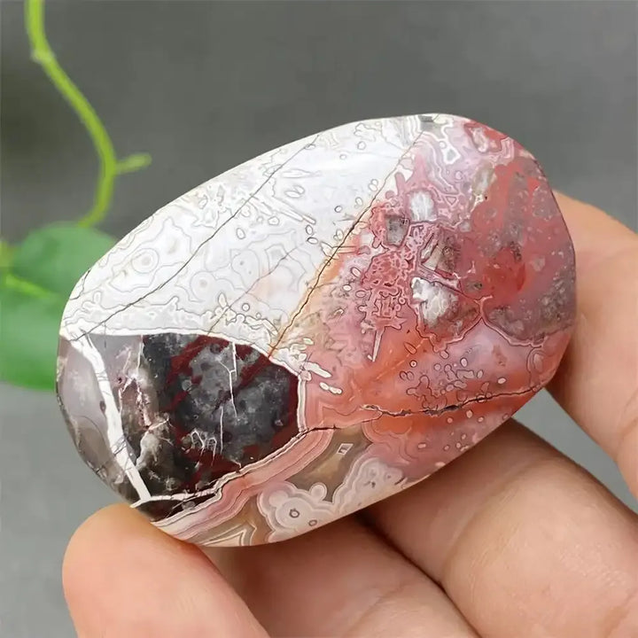 Crazy Lace Agate Palm Stone