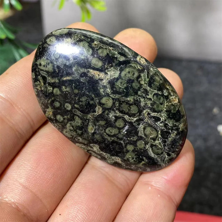 Natural Kambaba Jasper Crystal Polished Palm Stone