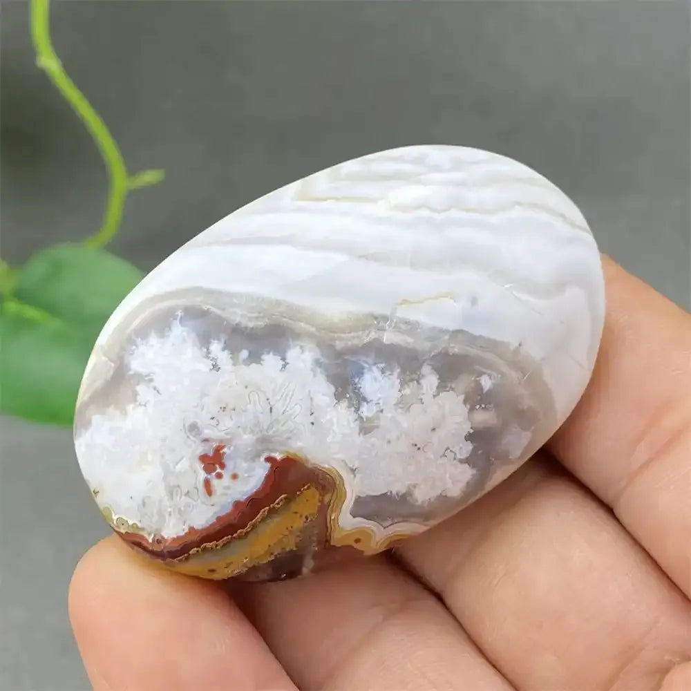 Crazy Lace Agate Palm Stone