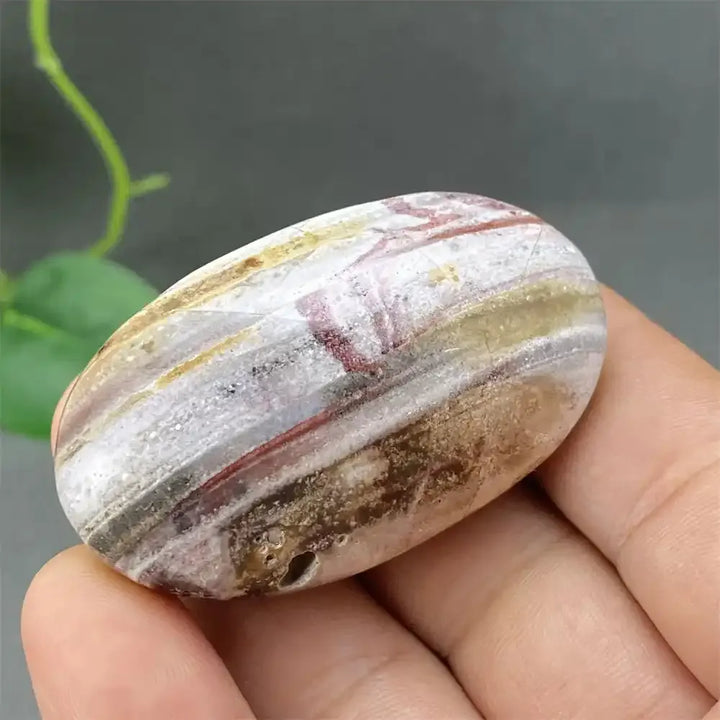 Crazy Lace Agate Palm Stone