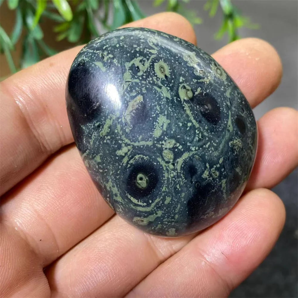 Natural Kambaba Jasper Crystal Polished Palm Stone