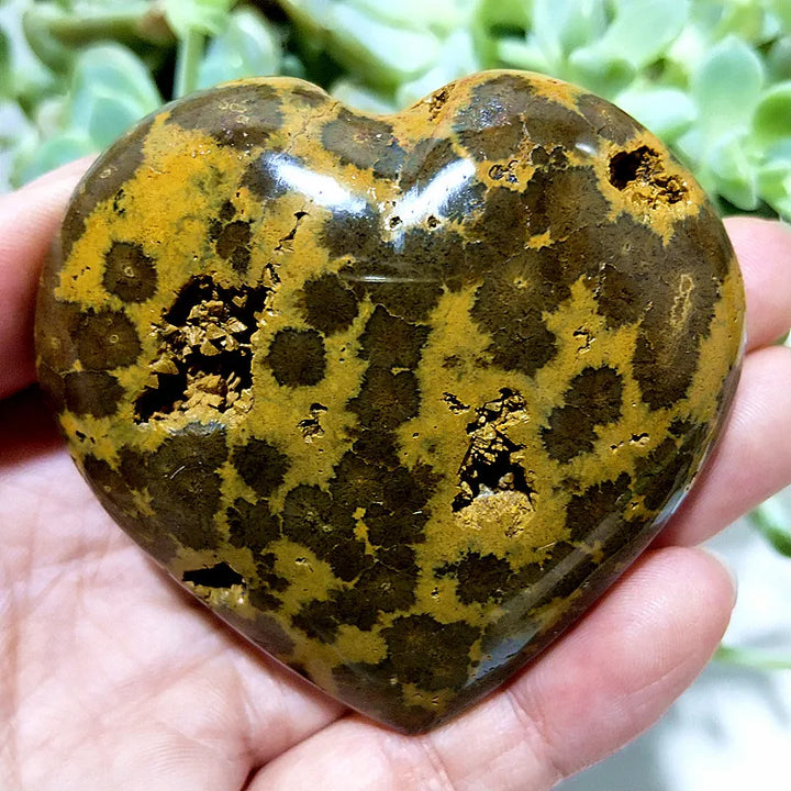 Ocean Jasper Crystal Carved Polished Heart Specimen