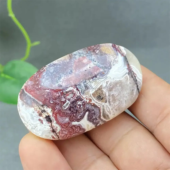 Crazy Lace Agate Palm Stone