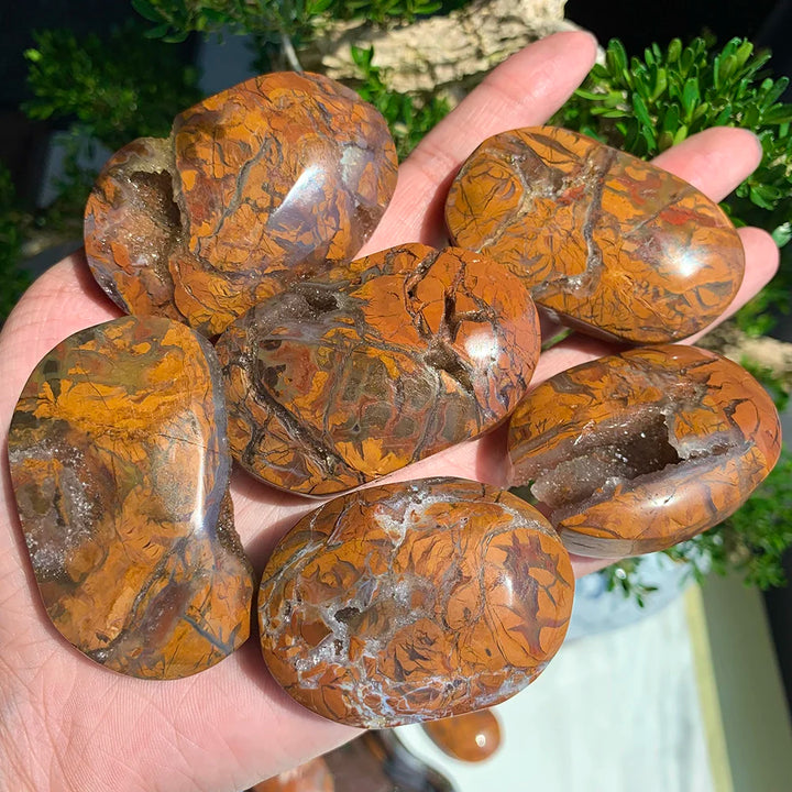 Natural Maligano Jasper Crystal Polished Palm Stone