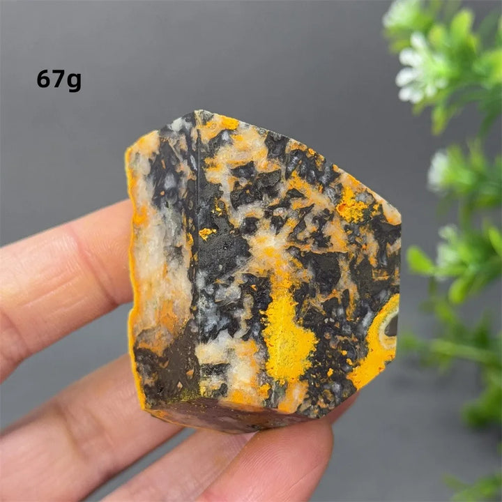 Bumblebee Jasper Crystal Freeform (Rare)