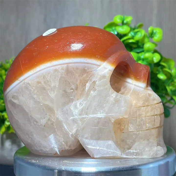 Carnelian & Quartz Crystal Carved Skull