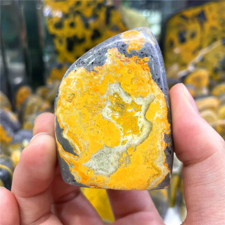 Bumblebee Jasper Crystal Polished Stone Freeform (Rare)