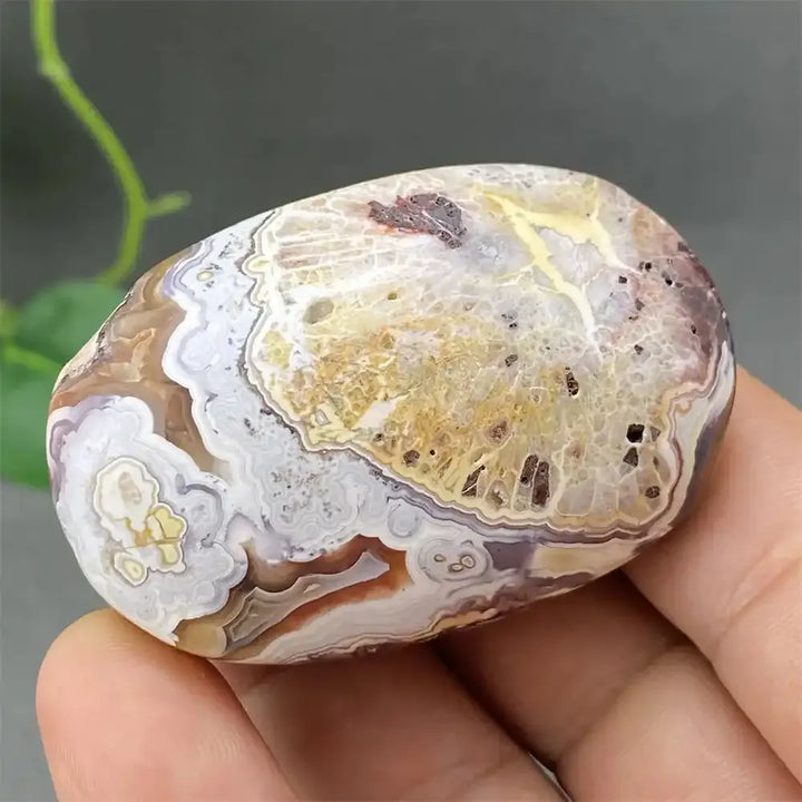 Crazy Lace Agate Palm Stone