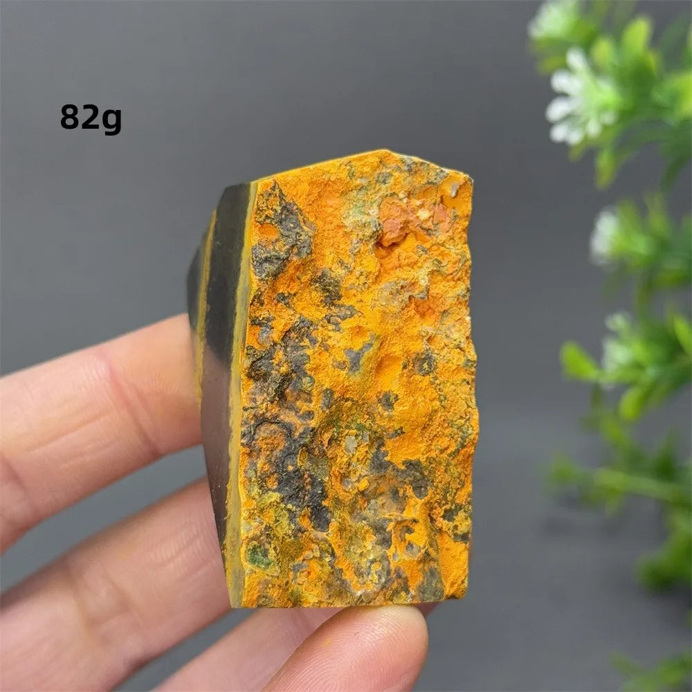 Bumblebee Jasper Crystal Freeform (Rare)