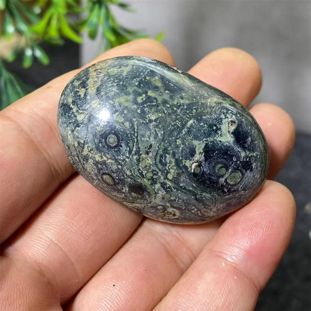 Natural Kambaba Jasper Crystal Polished Palm Stone