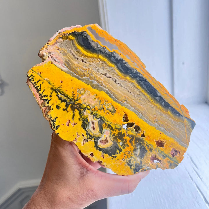 Bumblebee Jasper Crystal Polished Slab Specimen