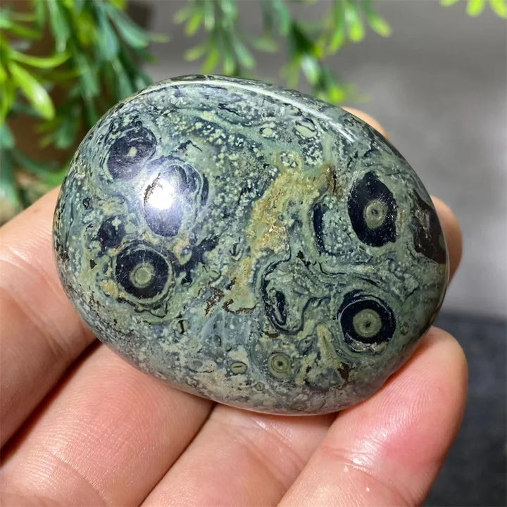 Natural Kambaba Jasper Crystal Polished Palm Stone