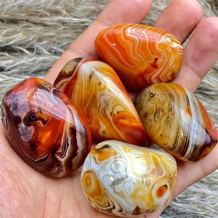 Polished Sardonyx palm stones with vibrant reddish-brown, honey, and white bands for grounding and Root Chakra support.