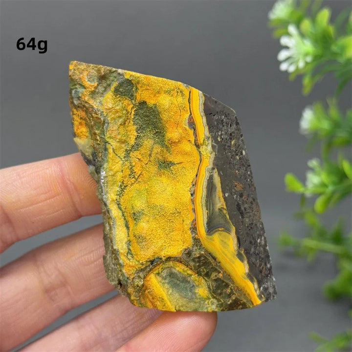 Bumblebee Jasper Crystal Freeform (Rare)