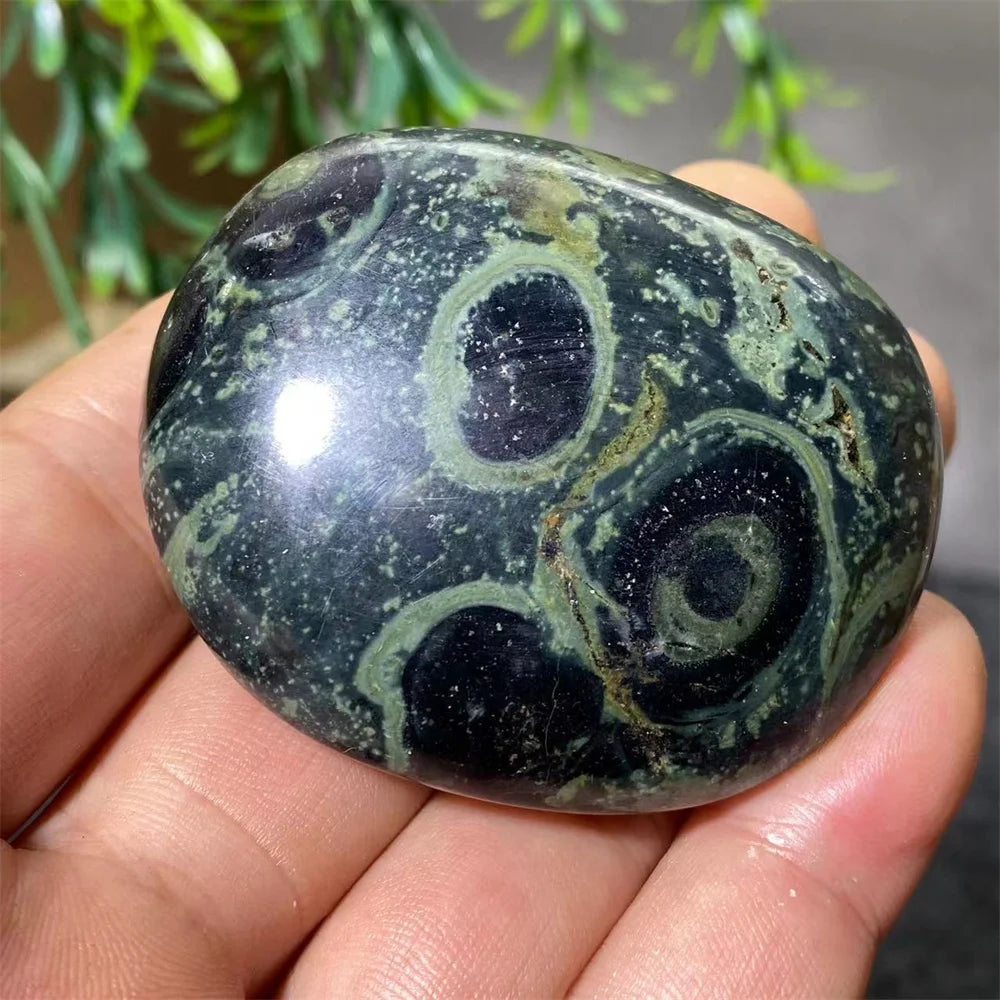 Natural Kambaba Jasper Crystal Polished Palm Stone