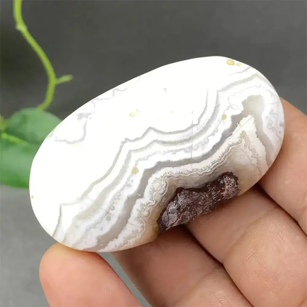 Crazy Lace Agate Palm Stone