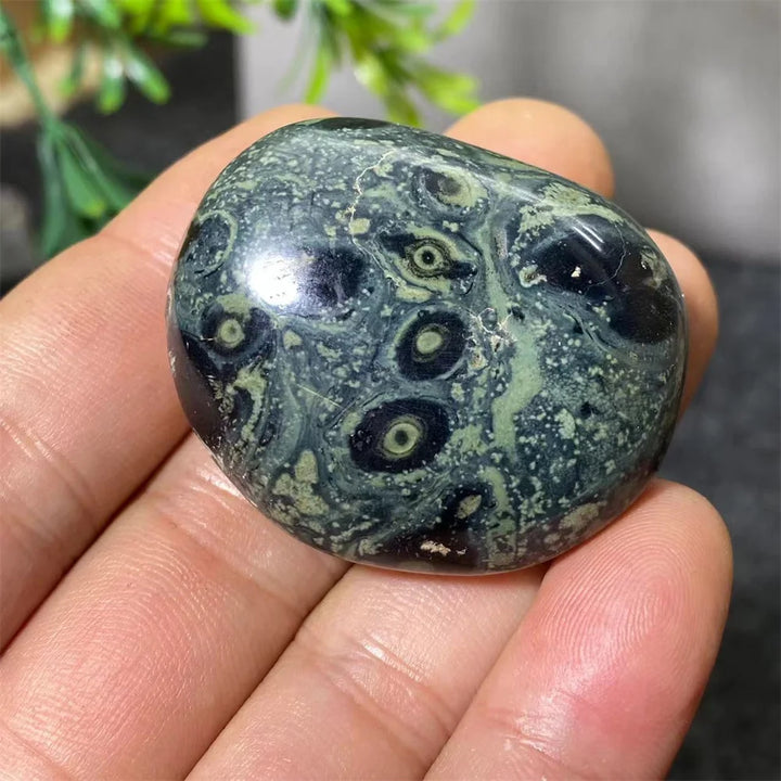 Natural Kambaba Jasper Crystal Polished Palm Stone