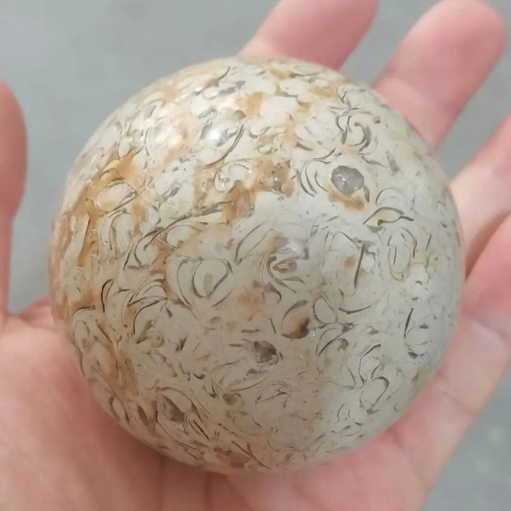 Natural Dinosaur Bone Agatized Crystal Sphere