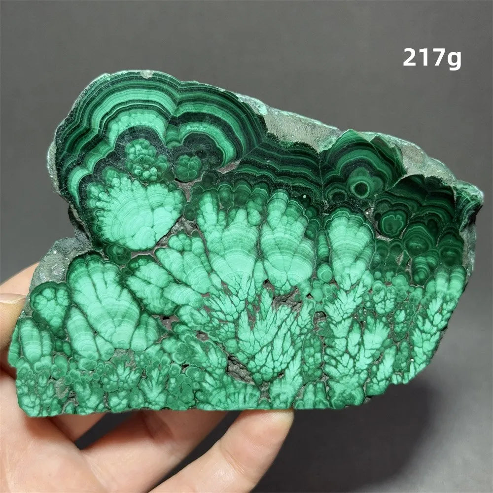 Malachite Raw Crystal Natural Stone Slice Mineral Slab
