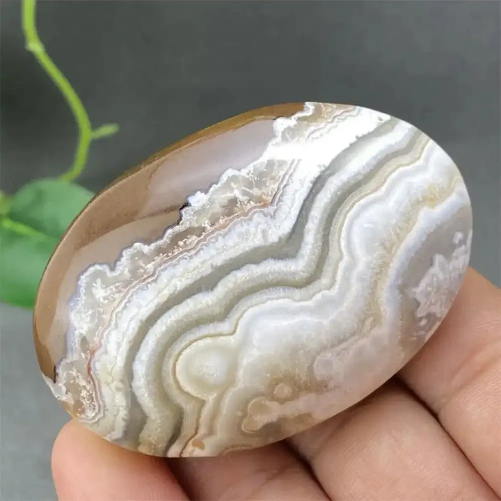 Crazy Lace Agate Palm Stone