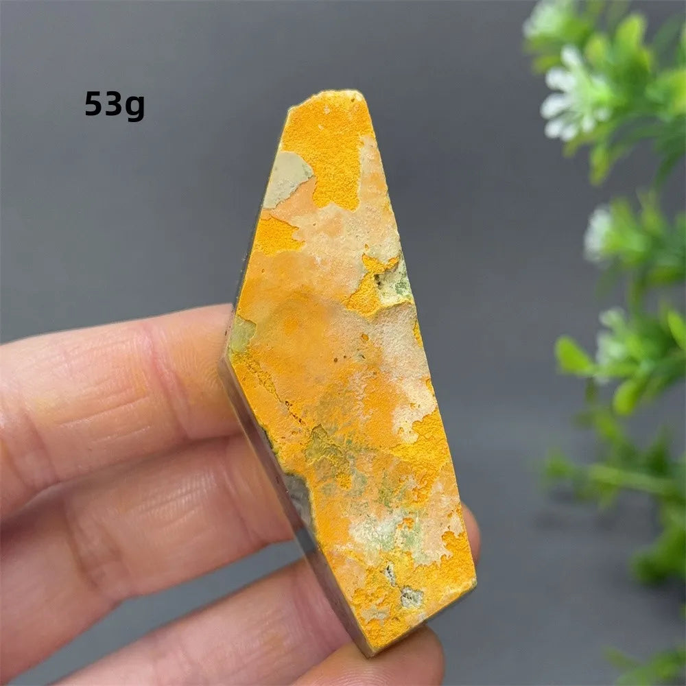 Bumblebee Jasper Crystal Freeform (Rare)