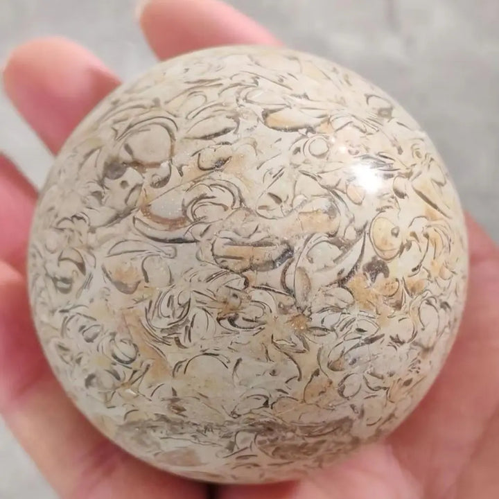 Natural Dinosaur Bone Agatized Crystal Sphere