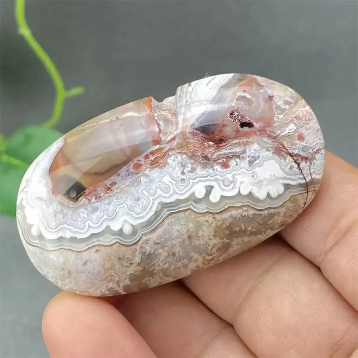 Crazy Lace Agate Palm Stone