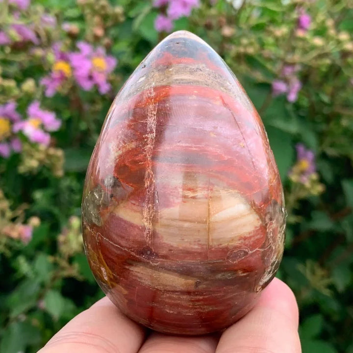 Petrified Wood Crystal Polished Egg Stone for Grounding