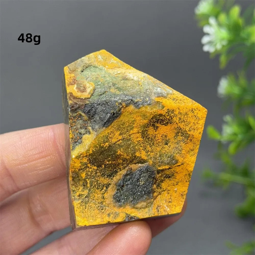 Bumblebee Jasper Crystal Freeform (Rare)