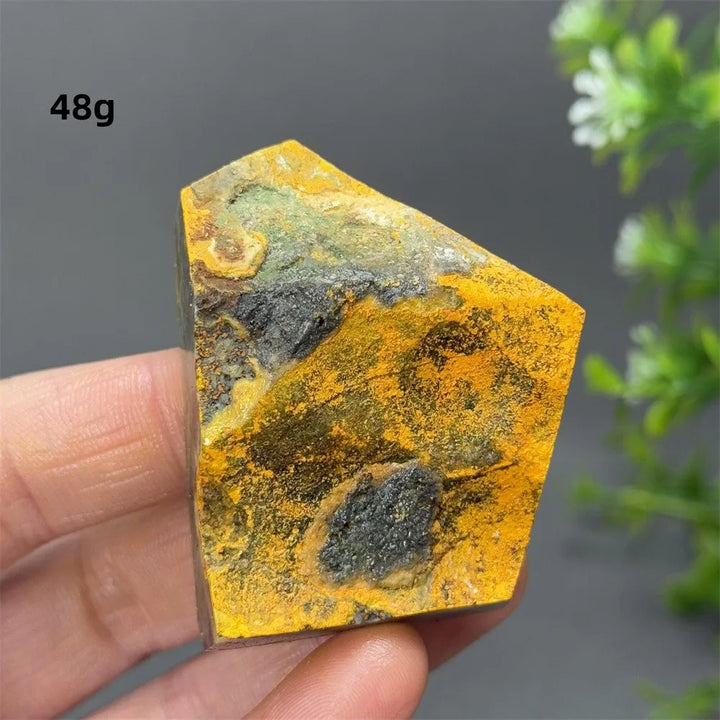 Bumblebee Jasper Crystal Freeform (Rare)