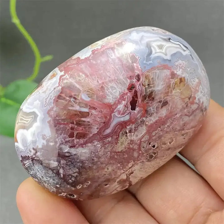Crazy Lace Agate Palm Stone