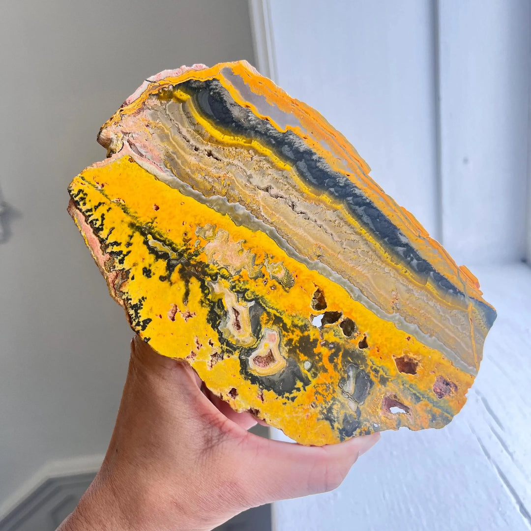 Bumblebee Jasper Crystal Slice (Rare)