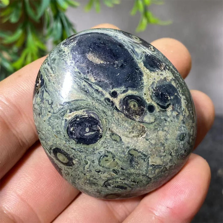 Natural Kambaba Jasper Crystal Polished Palm Stone