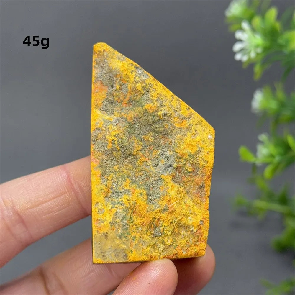 Bumblebee Jasper Crystal Freeform (Rare)