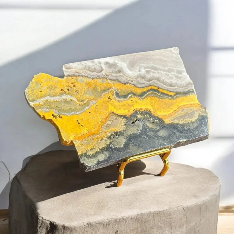 Bumblebee Jasper Crystal Slice (Rare)
