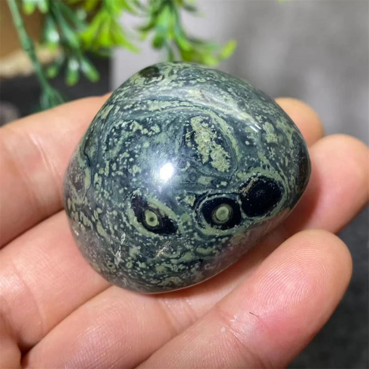 Natural Kambaba Jasper Crystal Polished Palm Stone