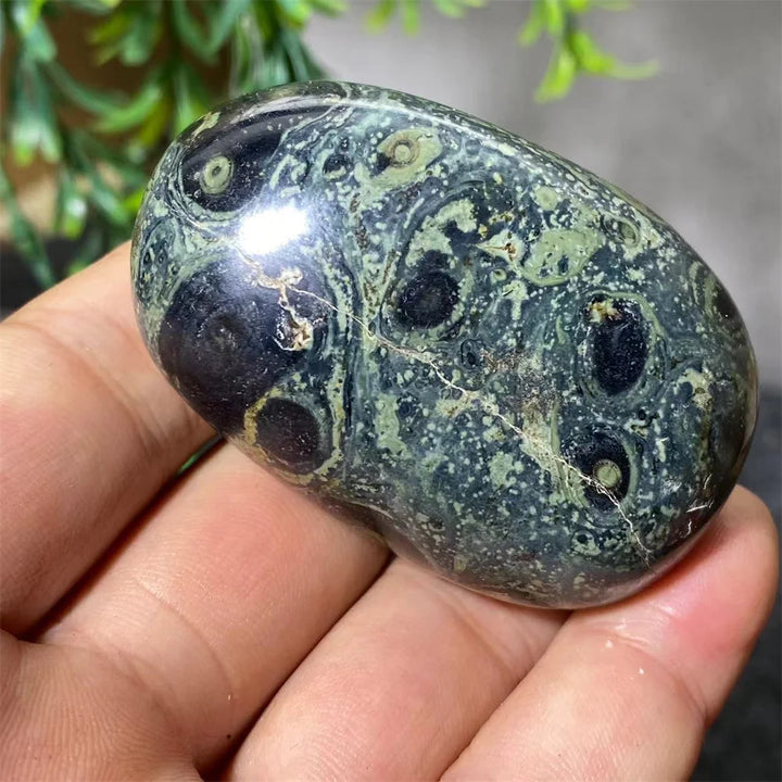 Natural Kambaba Jasper Crystal Polished Palm Stone