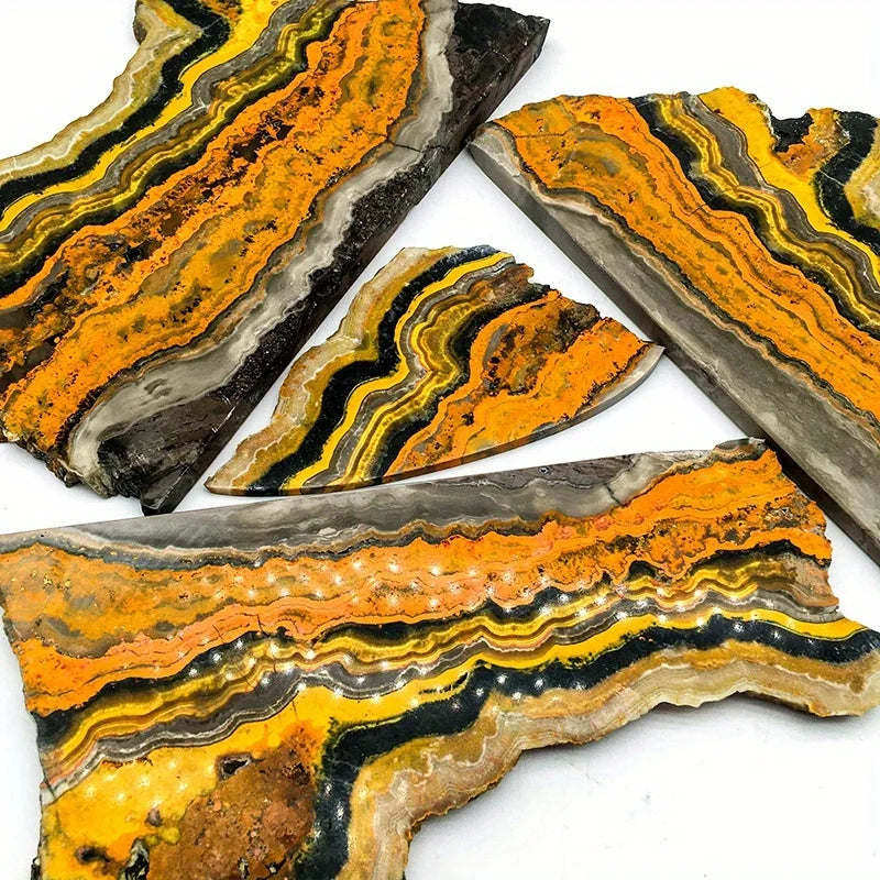 Bumblebee Jasper Crystal Polished Slab Specimen