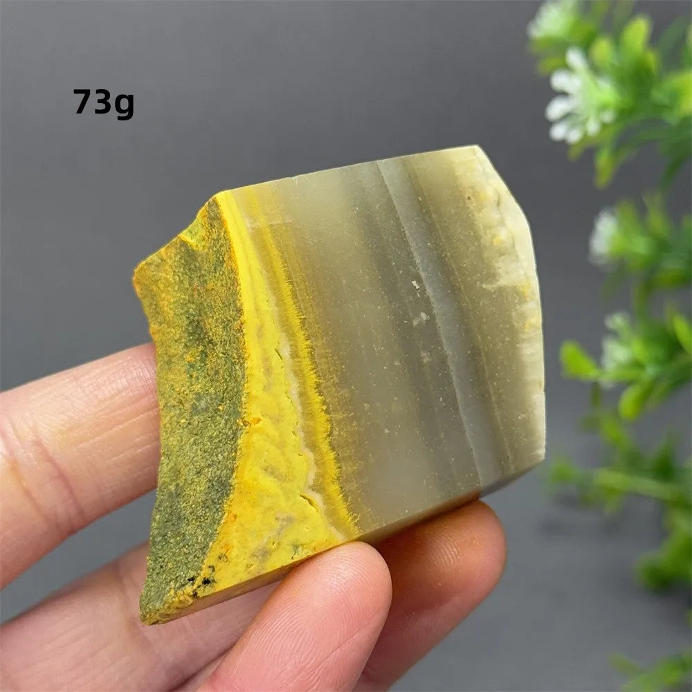 Bumblebee Jasper Crystal Freeform (Rare)