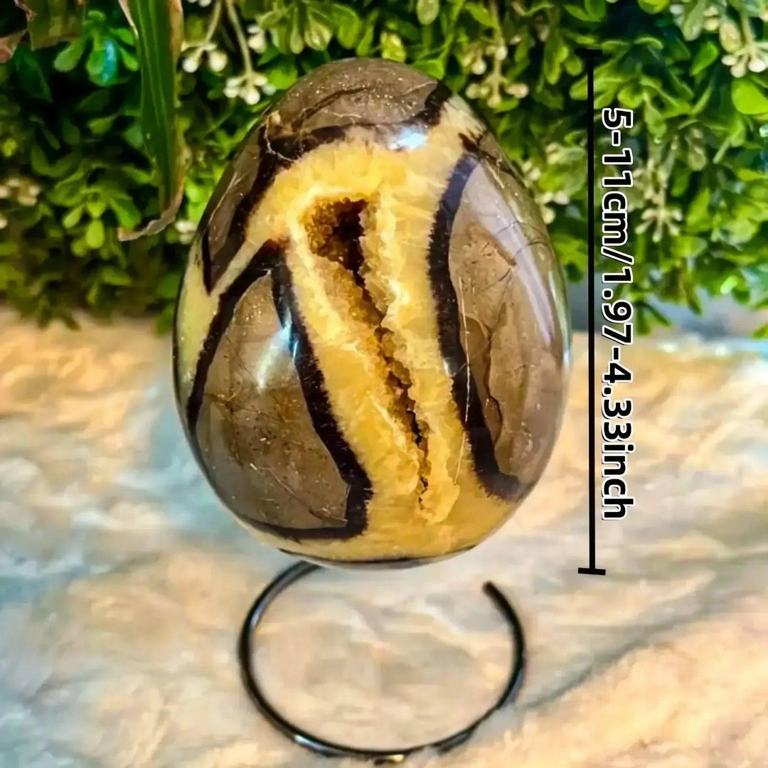 Polished Septarian Crystal Egg Dragon Stone with golden calcite, brown aragonite, and grey limestone veining.