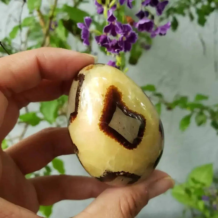 Polished Septarian Crystal Egg Dragon Stone with golden calcite, brown aragonite, and grey limestone, held against purple flowers.
