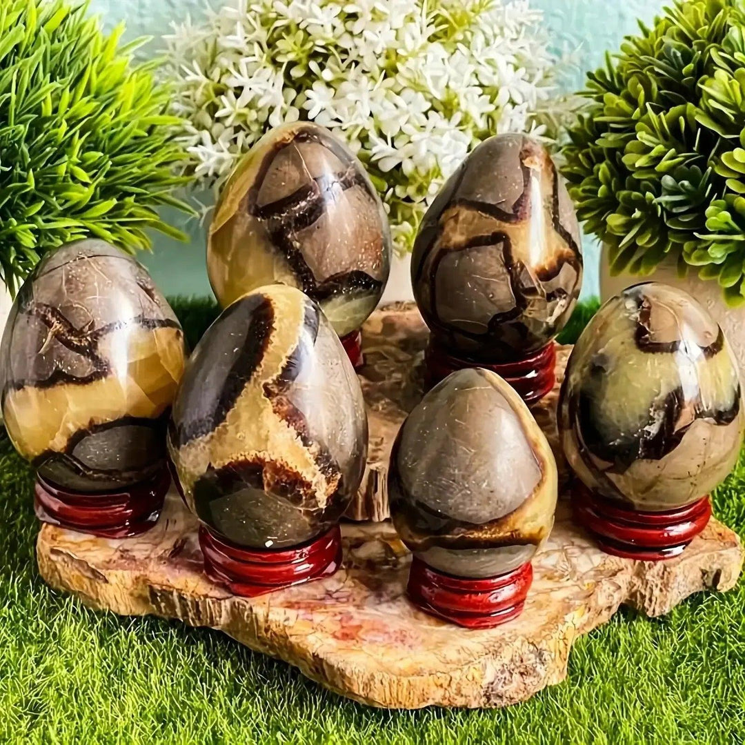 Polished Septarian Dragon Stone eggs with golden calcite, brown aragonite, and grey limestone for grounding and balance.