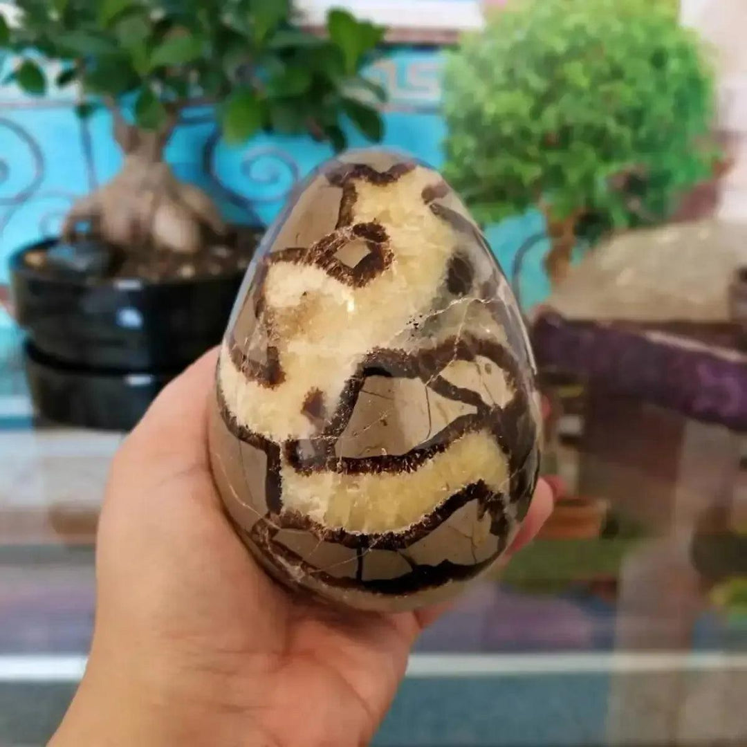 Polished Septarian Crystal Egg Dragon Stone with golden calcite veining, brown aragonite, and grey limestone.