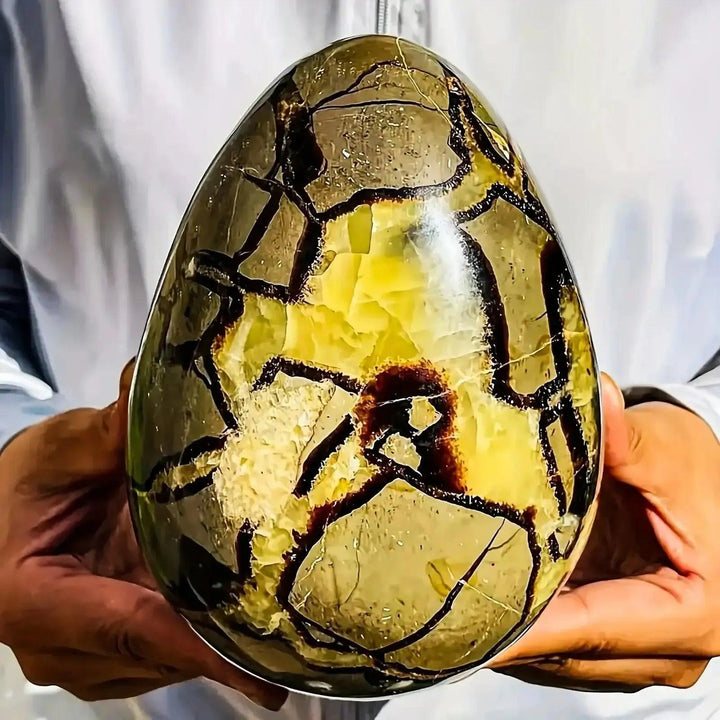 Polished Septarian Dragon Stone egg with golden calcite, brown aragonite, and grey limestone, held in hands.