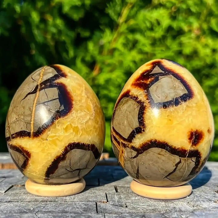 Two Septarian Crystal Destiny eggs with golden calcite cracks, brown aragonite, and grey limestone patterns.