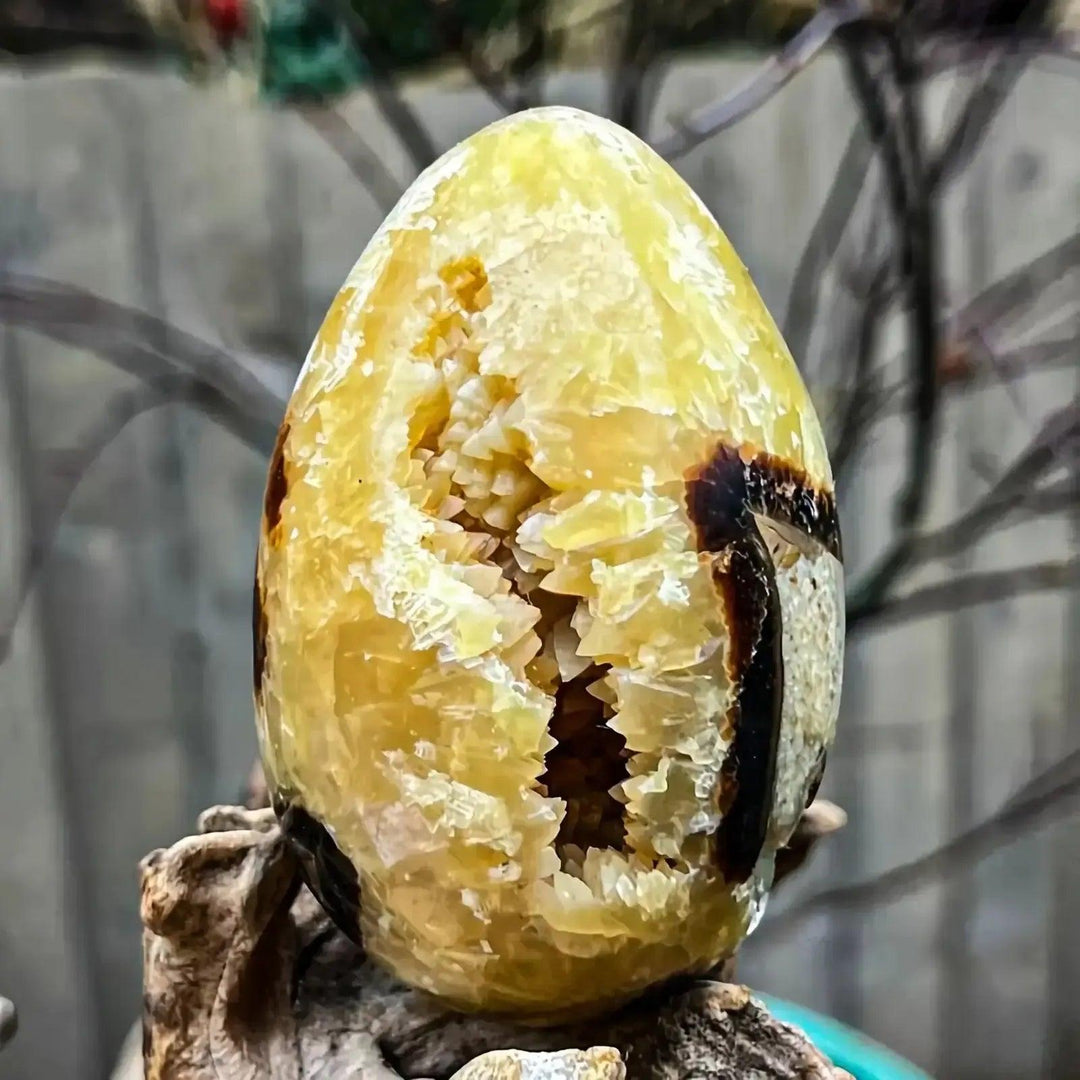 Septarian Crystal Egg by Crystal Destiny, showcasing golden calcite cracks and brown aragonite for grounding.