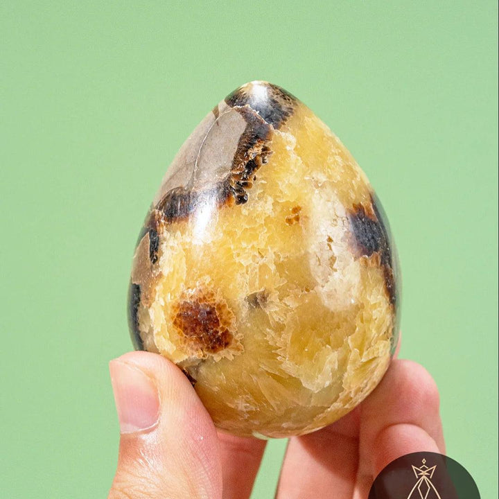 Septarian Crystal Egg: Natural Dragon Stone Geode Egg with golden yellow calcite and dark brown aragonite for grounding.
