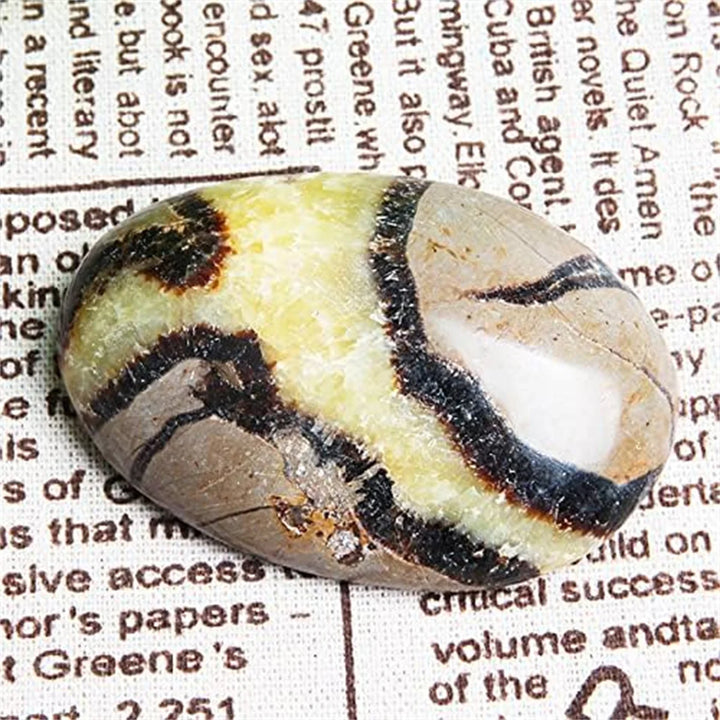 Septarian Dragon Palm Stone