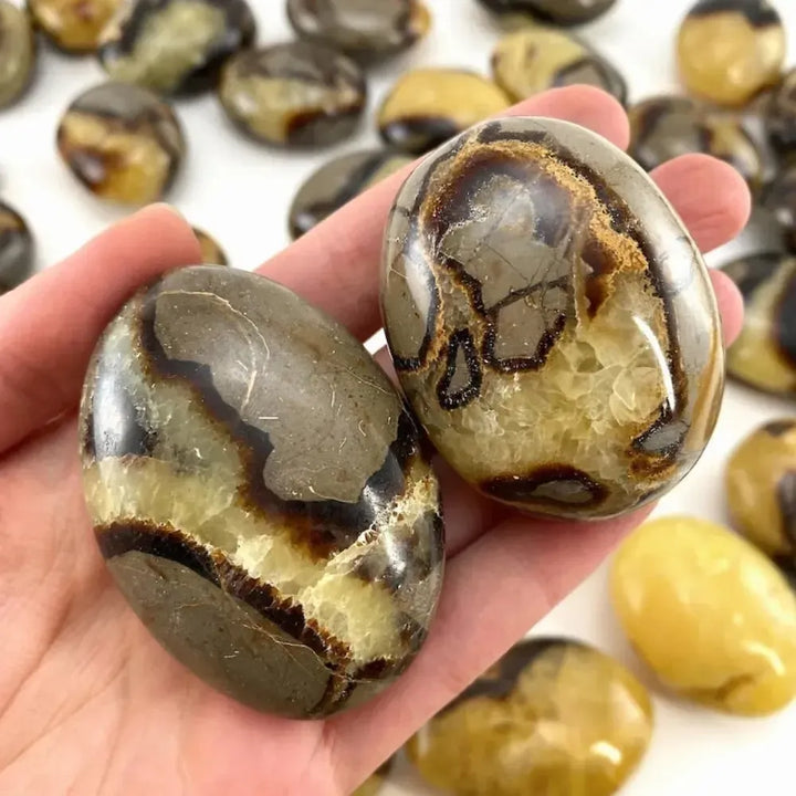 Polished Septarian pocket stone palm rock with unique brown and yellow patterns, perfect for healing and meditation.